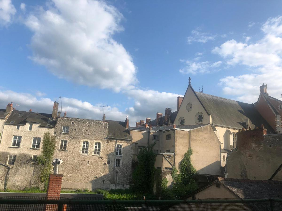 Cote Chateau - Grand Appartement Au Coeur De 블루아 외부 사진