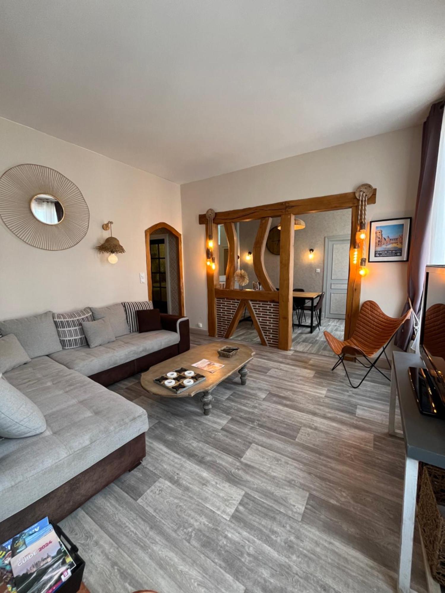 Cote Chateau - Grand Appartement Au Coeur De 블루아 외부 사진