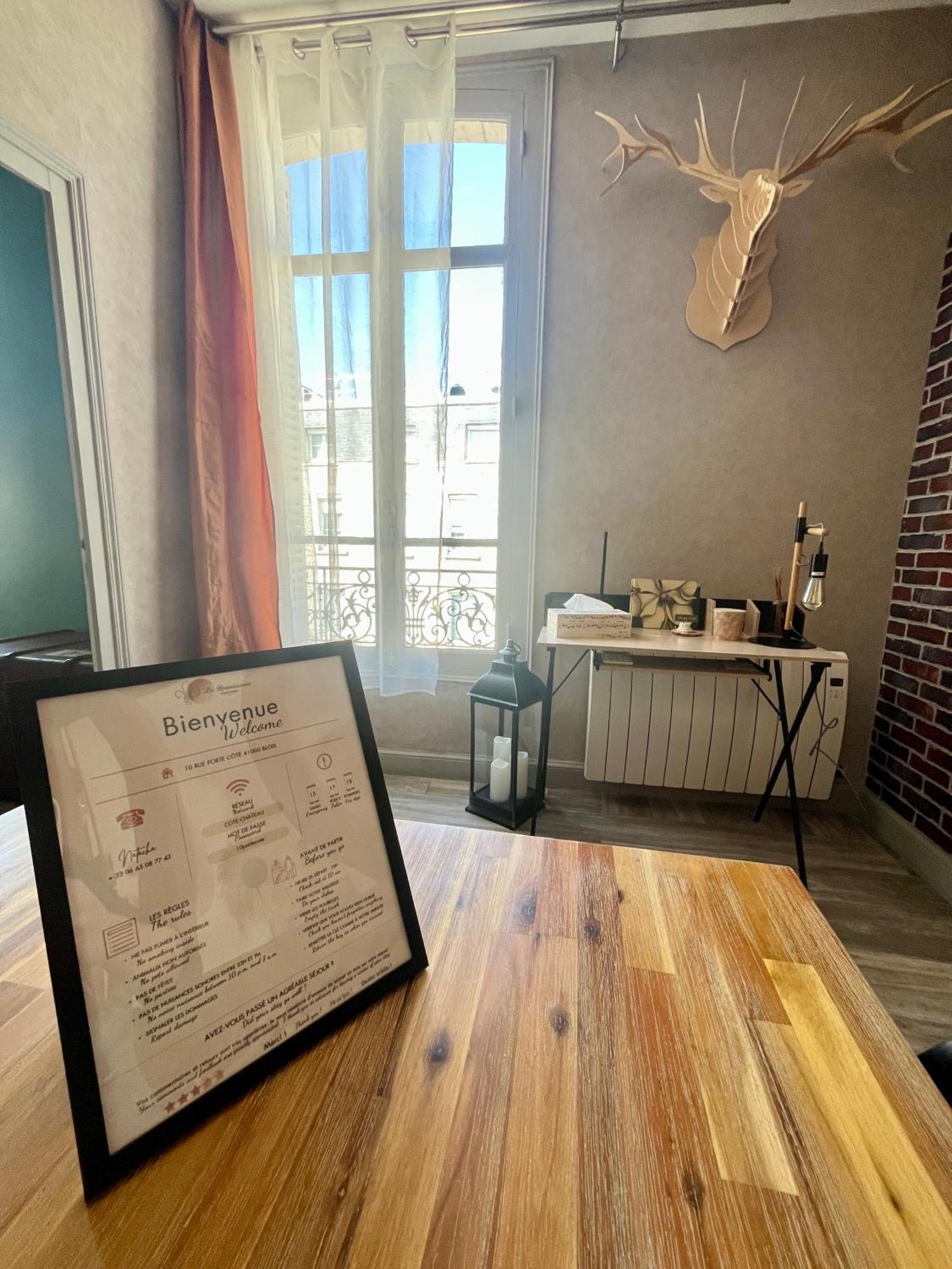 Cote Chateau - Grand Appartement Au Coeur De 블루아 외부 사진